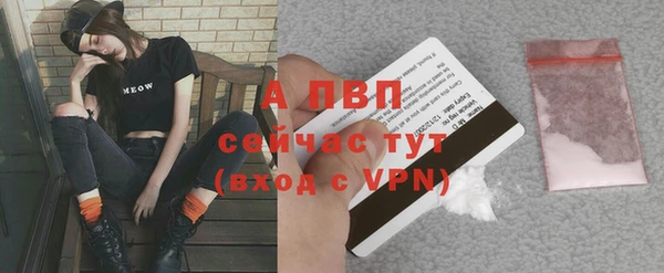 прущий лед Богородицк