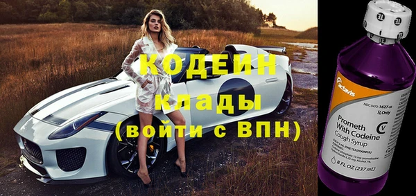 прущий лед Богородицк