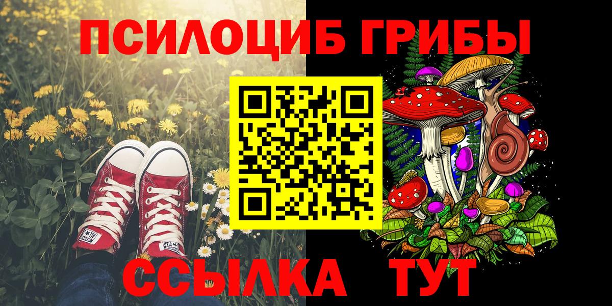 Галлюциногенные грибы GOLDEN TEACHER  Галлюциногенные грибы Psilocybine cubensis  Белая Калитва  Вход с VPN 